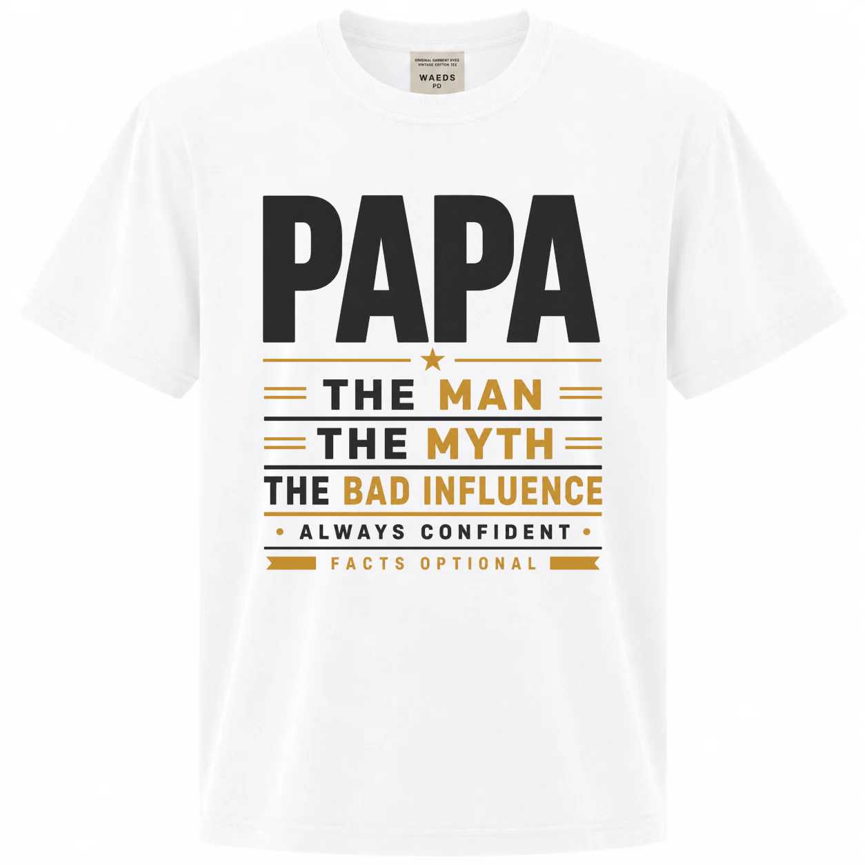 Papa The Man The Myth The Bad Influence Funny Grandpa T-Shirt for Men Father's Day Gift